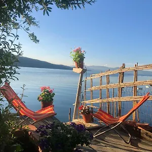 Rosas , Lini Albanië